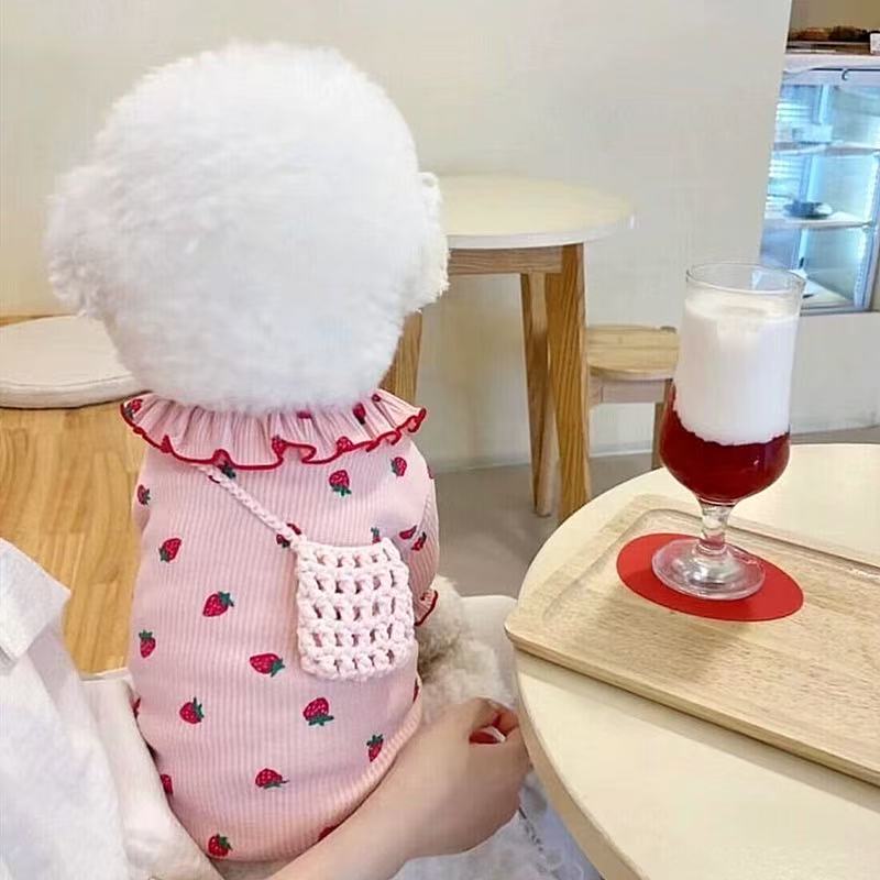 T00131Fashionable Miniature Canine Apparel Snuggly Designs Featuring Strawberries, Pandas, Cats