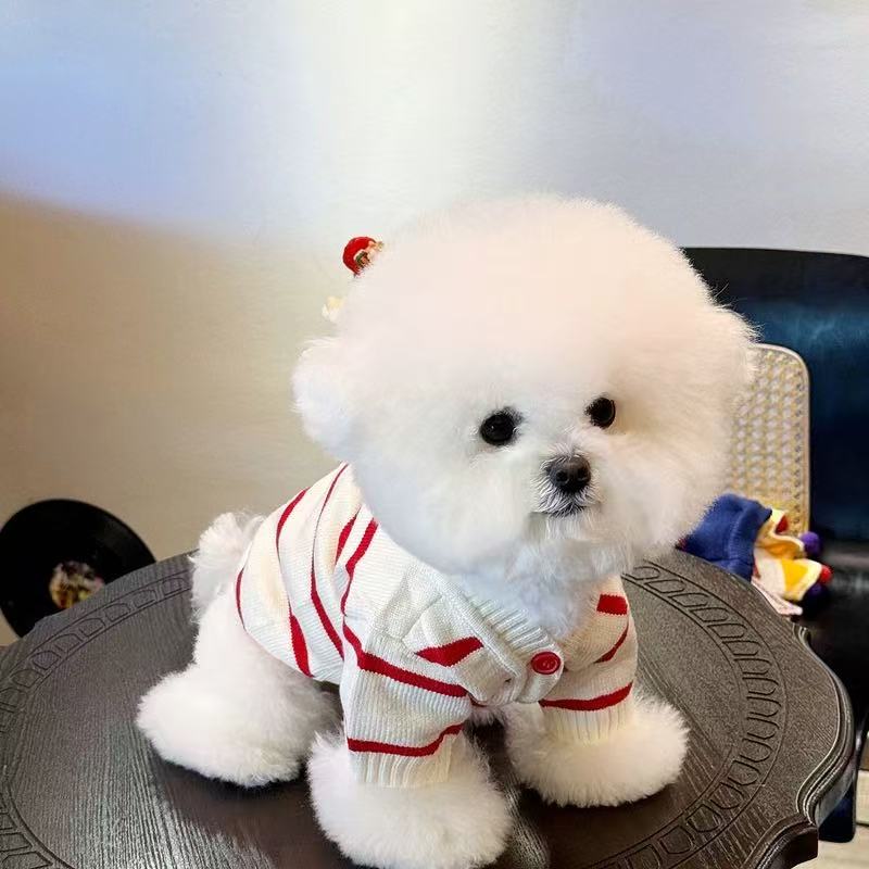 T00133 Cardigan sweater 2024 new dog clothes autumn and winter small puppy schnauzer Bichon Pomeranian pet winter
