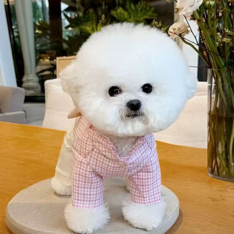 T00129 Summer Thin Lace Strawberry Pet Teddy Panda Cat Schnauzer Poodle Small Dog Clothes