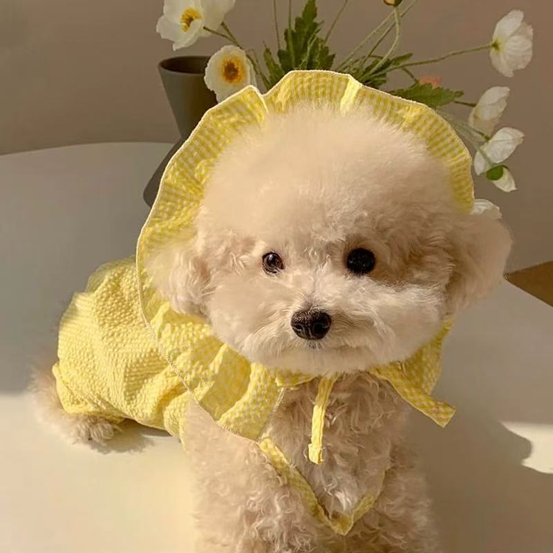 T00130 Summer Thin Lace Strawberry Pet Teddy Panda Cat Schnauzer Poodle Small Dog Clothes