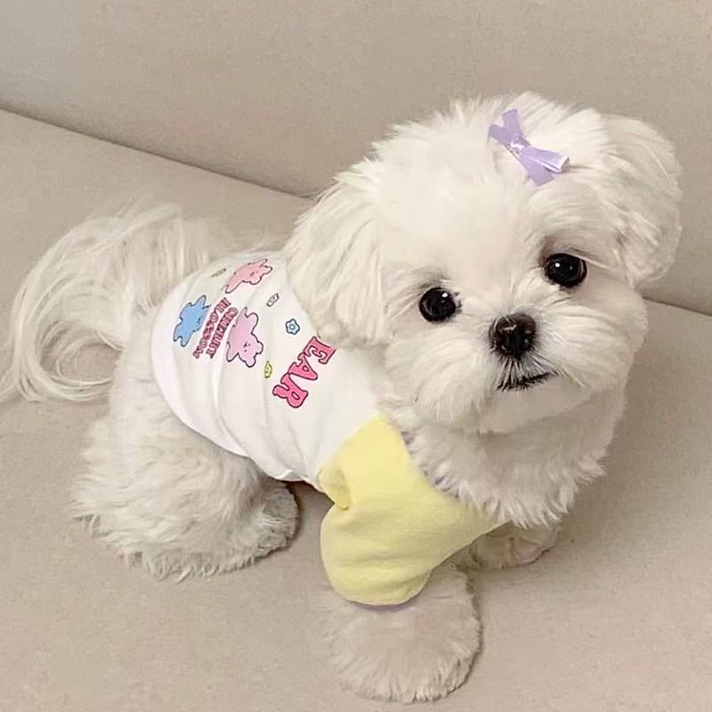 T00138 Dog clothes spring and summer Japanese workwear vest pet traction schnauzer bichon shiba inu trendy work jacket