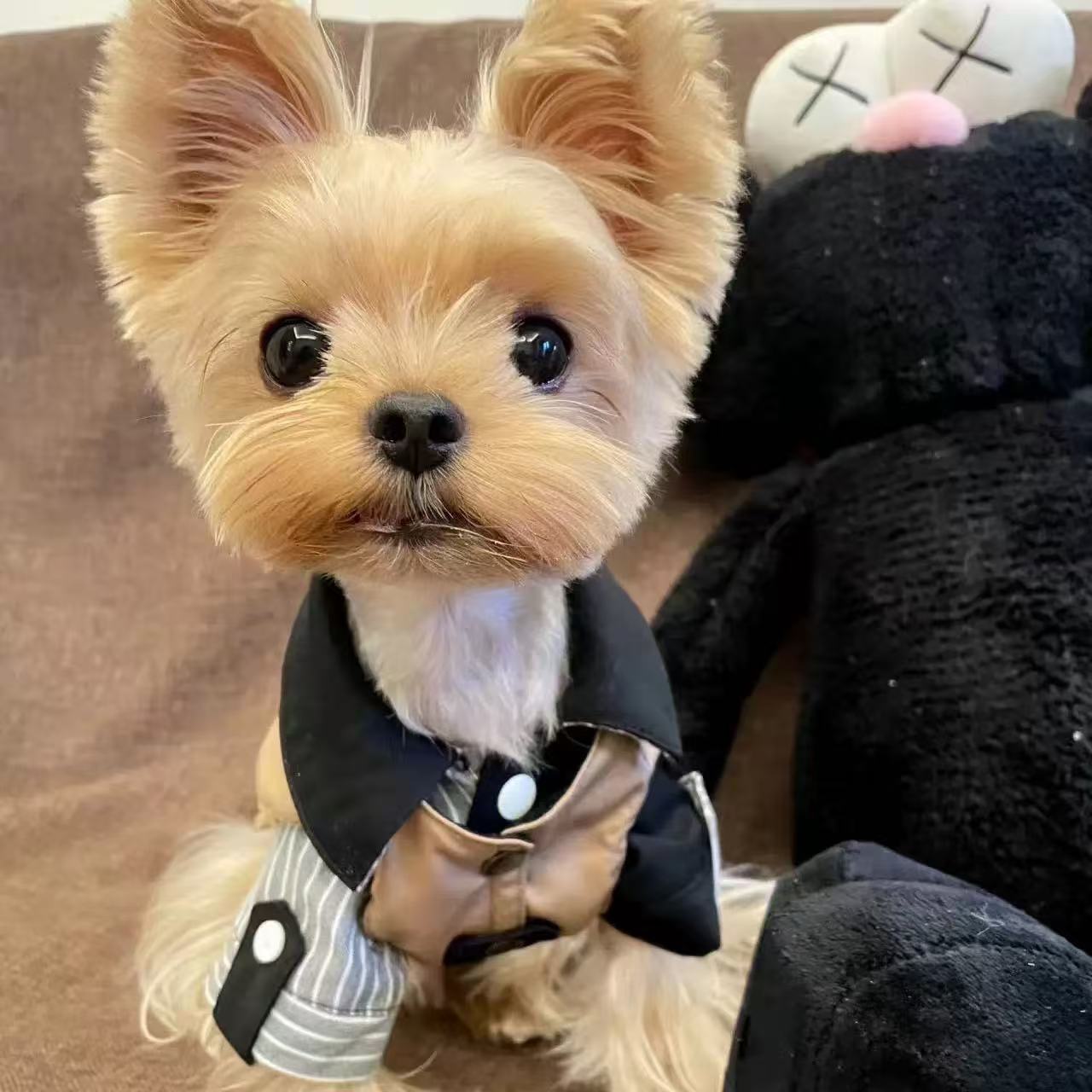 T00205 Dog clothes spring and summer Japanese workwear vest pet traction schnauzer bichon shiba inu trendy work jacket