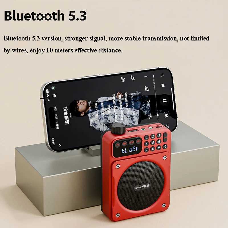 Mini digital FM radio high-definition display 76-108mhz wireless Bluetooth 5.3 speaker portable voice amplifier with TF card USB slot X2505051