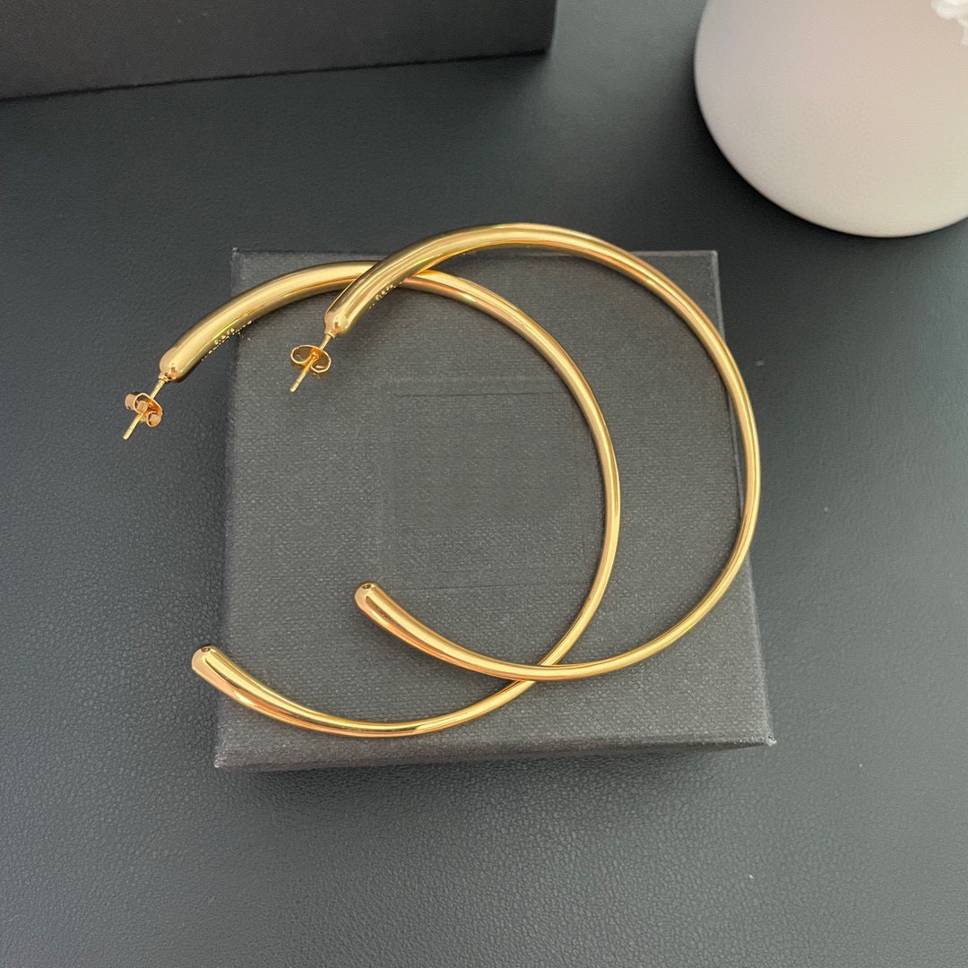 New Designed women Gold Hoop Earrings Fashionable Exaggerated Large Earrings Ear studs hoops Designer Jewelry Hiphop Rock Punk Accessories