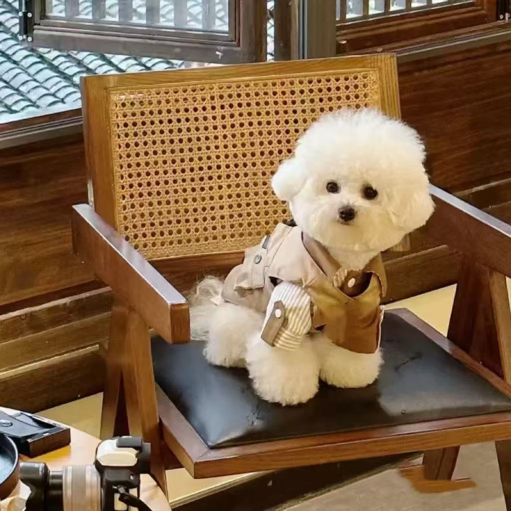 T00142 Pet dog overalls Teddy Schnauzer Bichon small dog INS trend casual overalls puppy pants