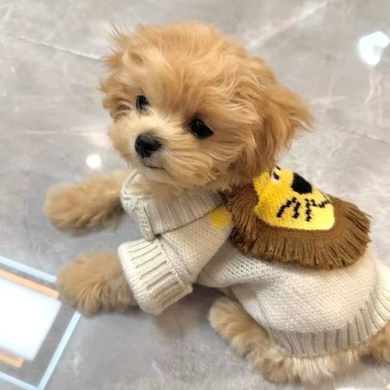 T00139 Dog Clothes Spring and Autumn French Bulldog Schnauzer Bichon Teddy Shiba Inu West Highland Pet Fashion Workwear Vest Clothing