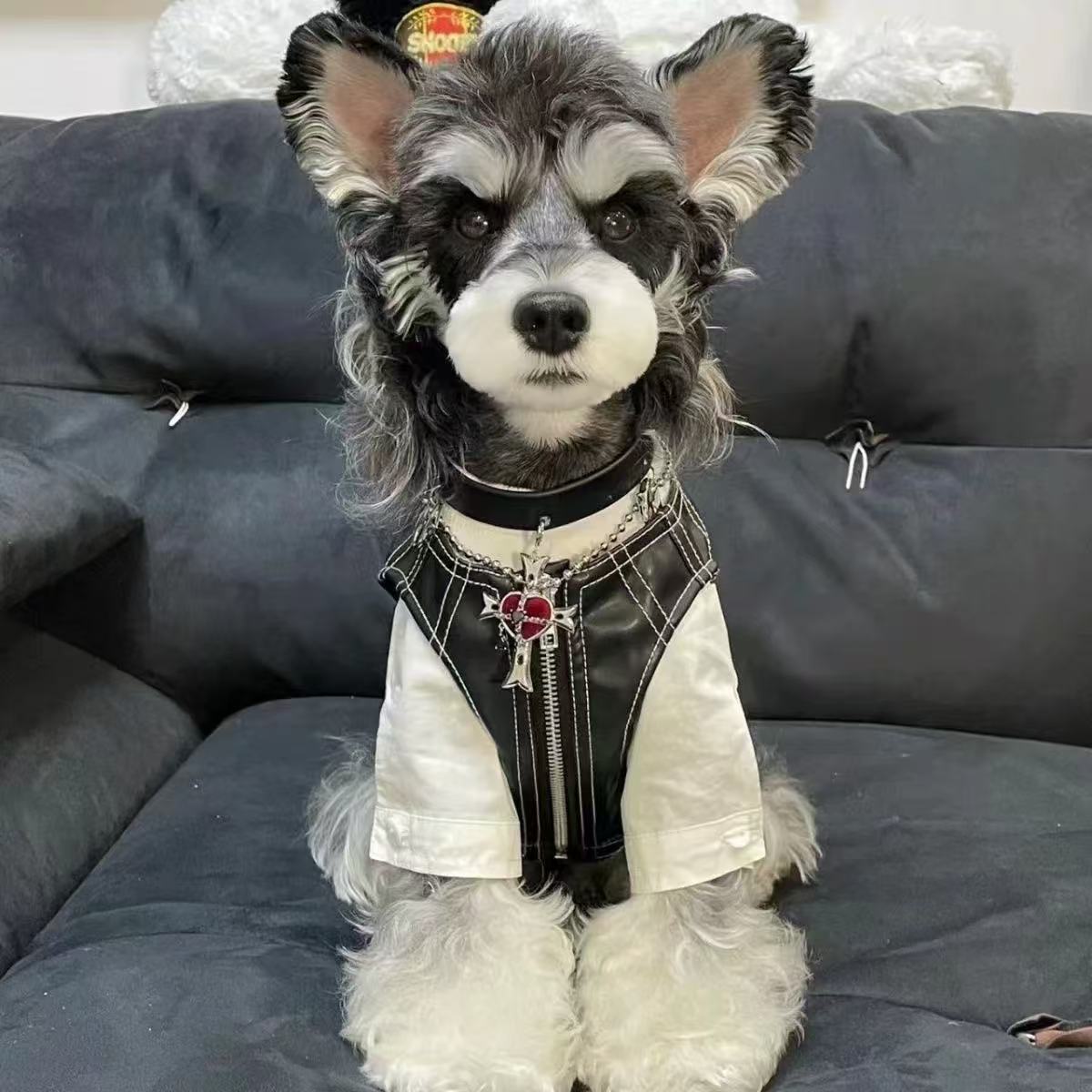 T00144 Black and white Lolita maid outfit pet dog dress birthday photo dress clothes spring summer autumn winter