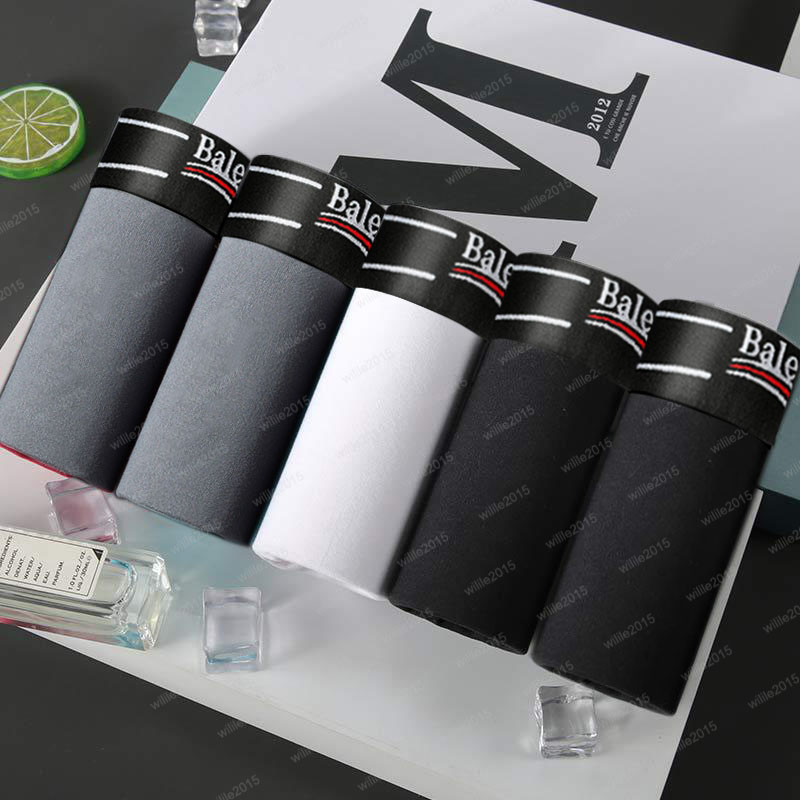 5 pairs of organic cotton shorts, Modal sexy men's breathable new mesh men's underwear