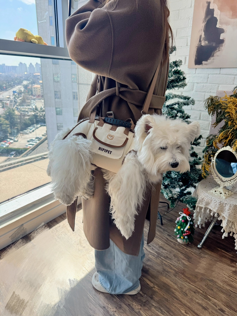 Fashion Dog Carrier Dog Sturdy Oxford Cloth Carrier for Small Dogs with Side Storage Pocket, Portable Messenger Bag, Collapsible Travel Puppy Carrier 