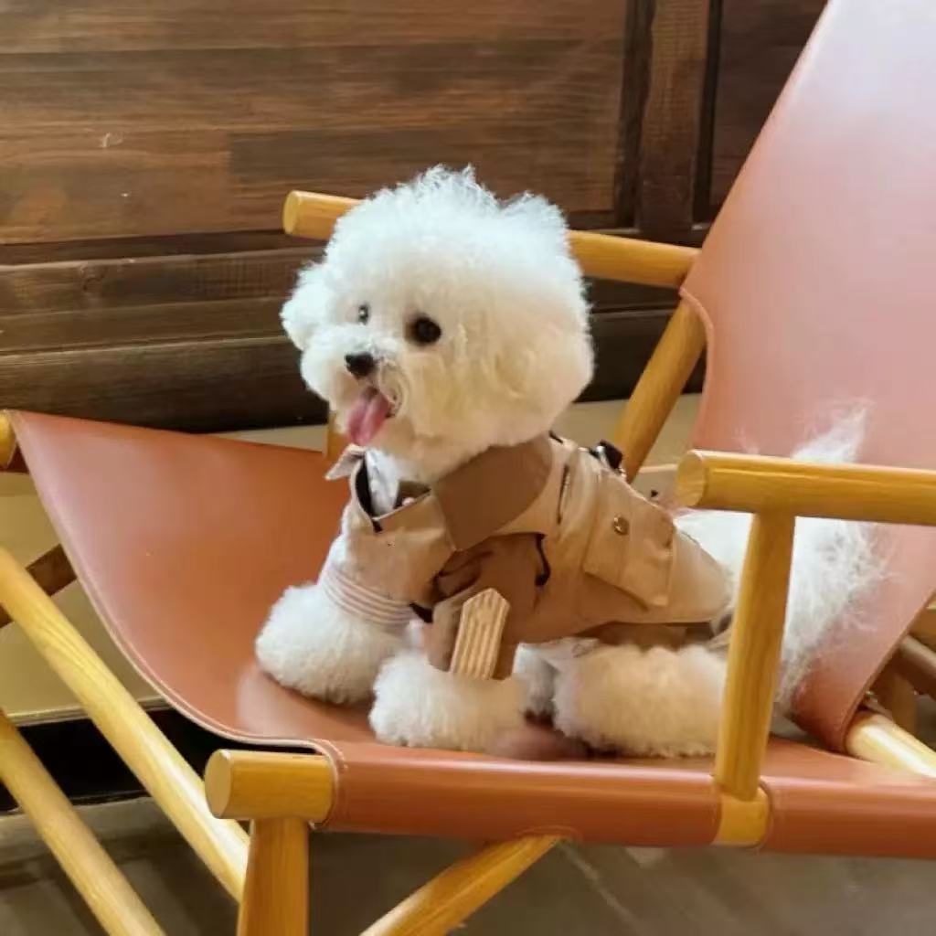 T00142 Pet dog overalls Teddy Schnauzer Bichon small dog INS trend casual overalls puppy pants