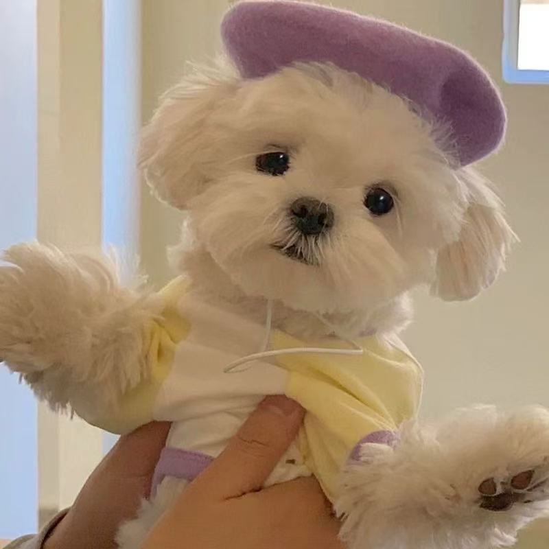 T00138 Dog clothes spring and summer Japanese workwear vest pet traction schnauzer bichon shiba inu trendy work jacket