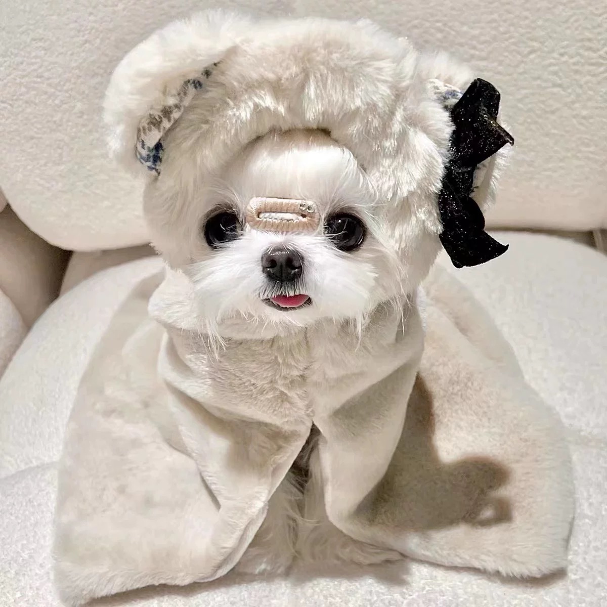 T00145 Clothes Spring and Summer Thin Fake Two-Piece Pocket Sweater Anti-Hair Loss Pet Teddy Panda Small Dog