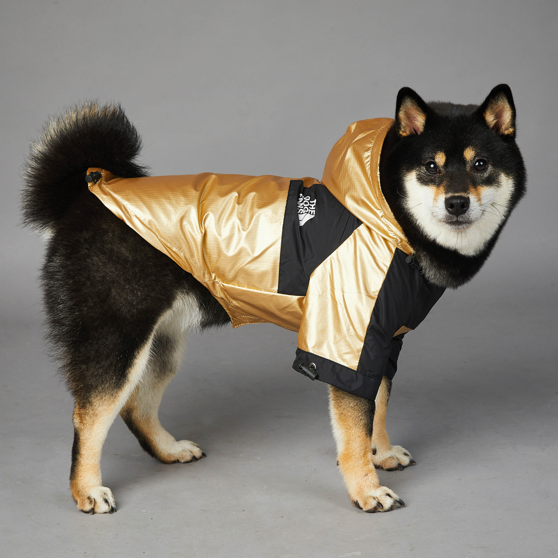 Autumn Dog Outdoor Jacket, Fashion Trend Golden Soft Windproof Waterproof Mountaineering Dog Coats for Small to Large Dogs with Leash Hole 5XL A310