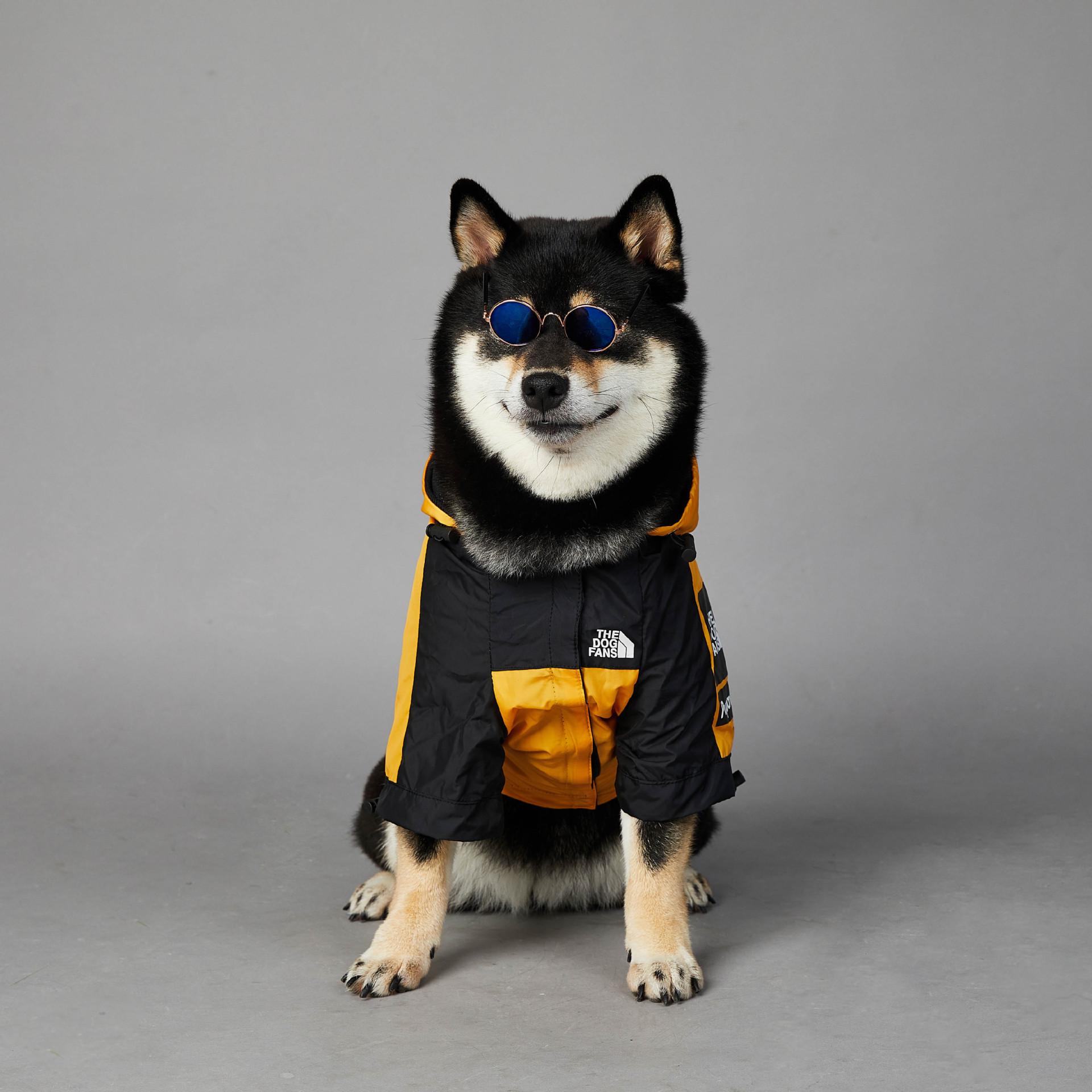 Warm Dog Coat Outdoor Jacket with Iconic Architectural Prints, Waterproof Windproof Autumn Coat, Mesh Breathable Lining Jacket for Large, Small, Mediu