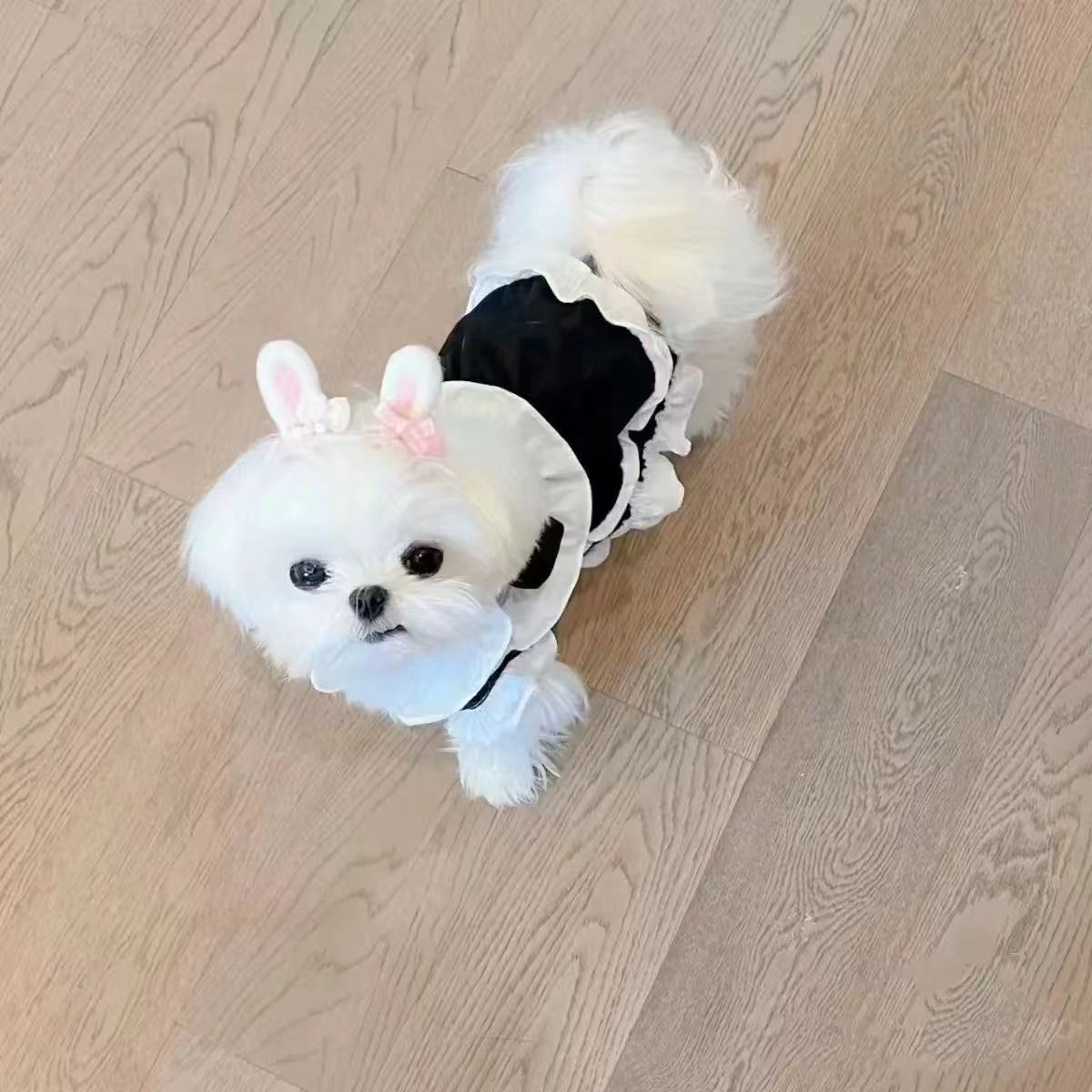 T00245 New Year's Eve Autumn and Winter New Double-sided Plush Thickened Cardigan Vest Teddy Bichon Dog Cat Plush Jacket