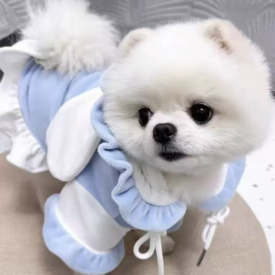 T00150 Dog clothes spring and summer thin fake two-piece pocket sweatshirt anti-hair loss pet Teddy bear small dog