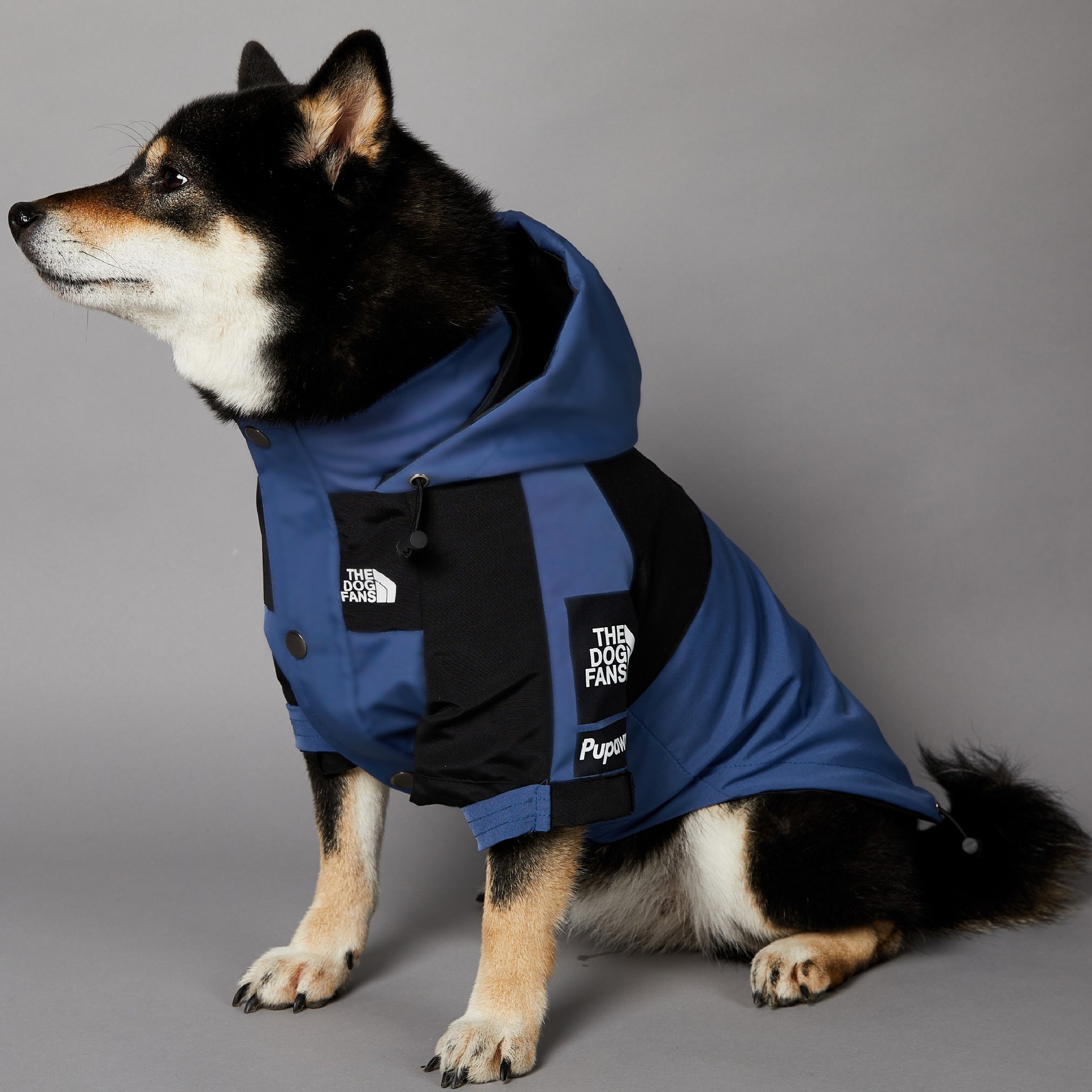 Dogs Clothes Autumn Winter Coat, Adjustable Hood Outdoor Jacket, Waterproof Windproof Zipper Pet Clothes With Leash Hole for Small Medium Large Dogs B