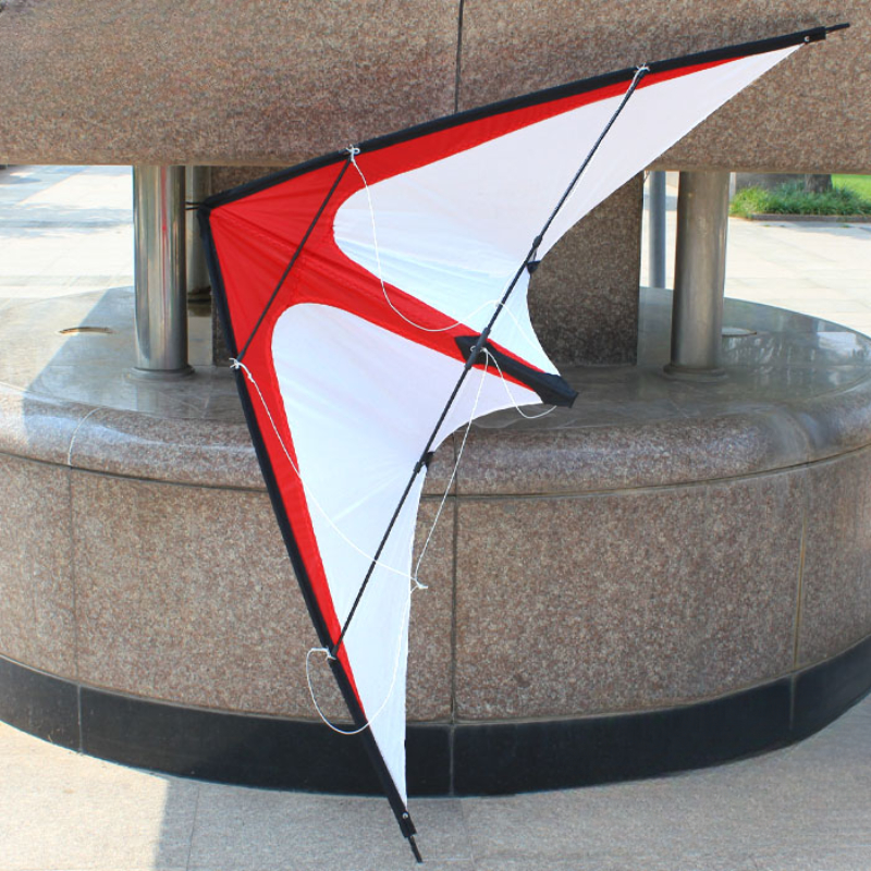 120cm Professional Dual-Line Stunt Kite Large Delta Kite for Teenagers Adult Outdoor Beach Grassland Kite Sports Flying Toy
