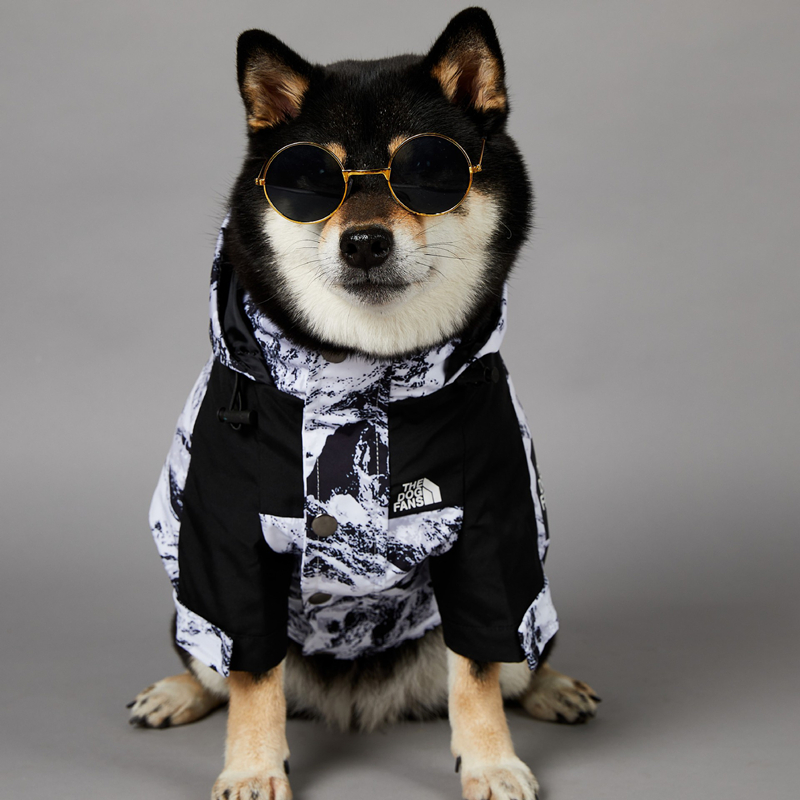 THE DOG FANS Dog Winter Coat, Waterproof Dog Hooded Jacket, Windproof Black White Snow Mountain Color Scheme Coat with Leash Hole for Small Medium Lar