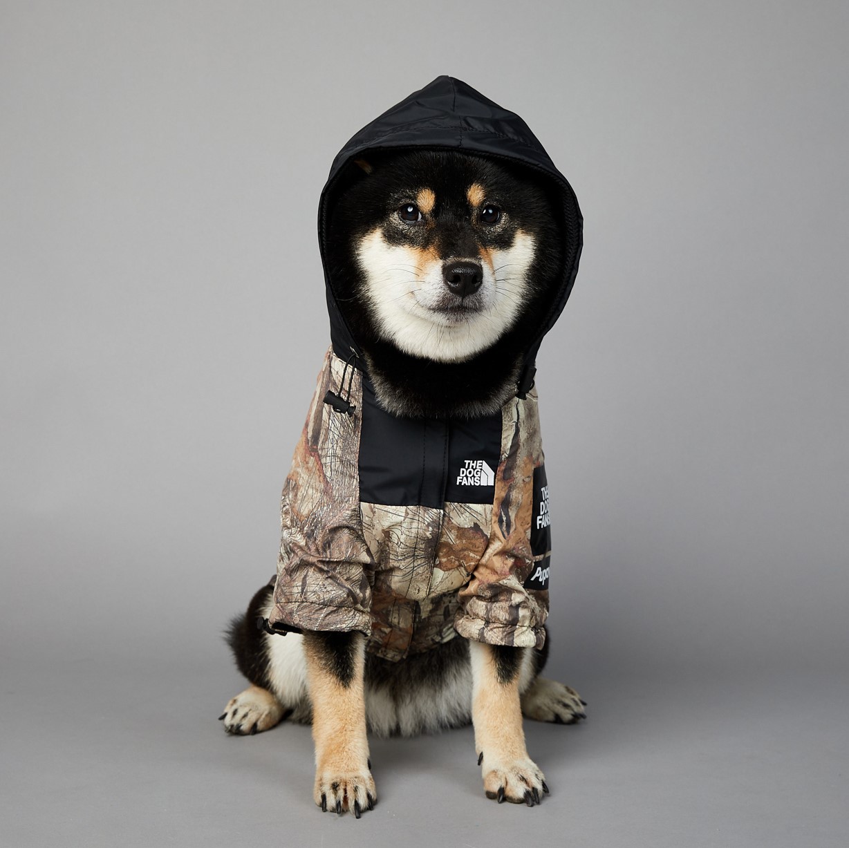 Dog Raincoats Outdoor Jacket, Waterproof and Windproof, Warm and Breathable, Fashion Trend Dog Clothes with Leash Hole for Small, Medium and Large Dog