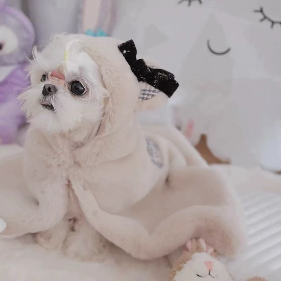T00145 Clothes Spring and Summer Thin Fake Two-Piece Pocket Sweater Anti-Hair Loss Pet Teddy Panda Small Dog