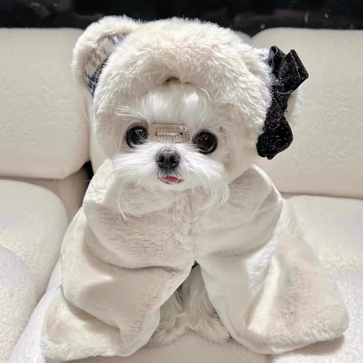 T00145 Clothes Spring and Summer Thin Fake Two-Piece Pocket Sweater Anti-Hair Loss Pet Teddy Panda Small Dog