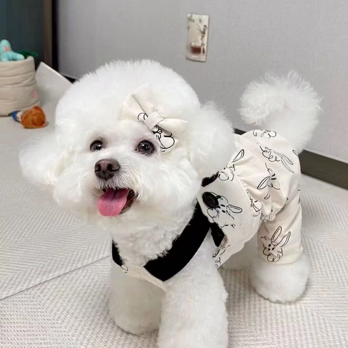 T00146 Pet clothes dog four-legged pants Teddy Bichon Poodle Pomeranian Yorkshire small dog cat thin spring and summer