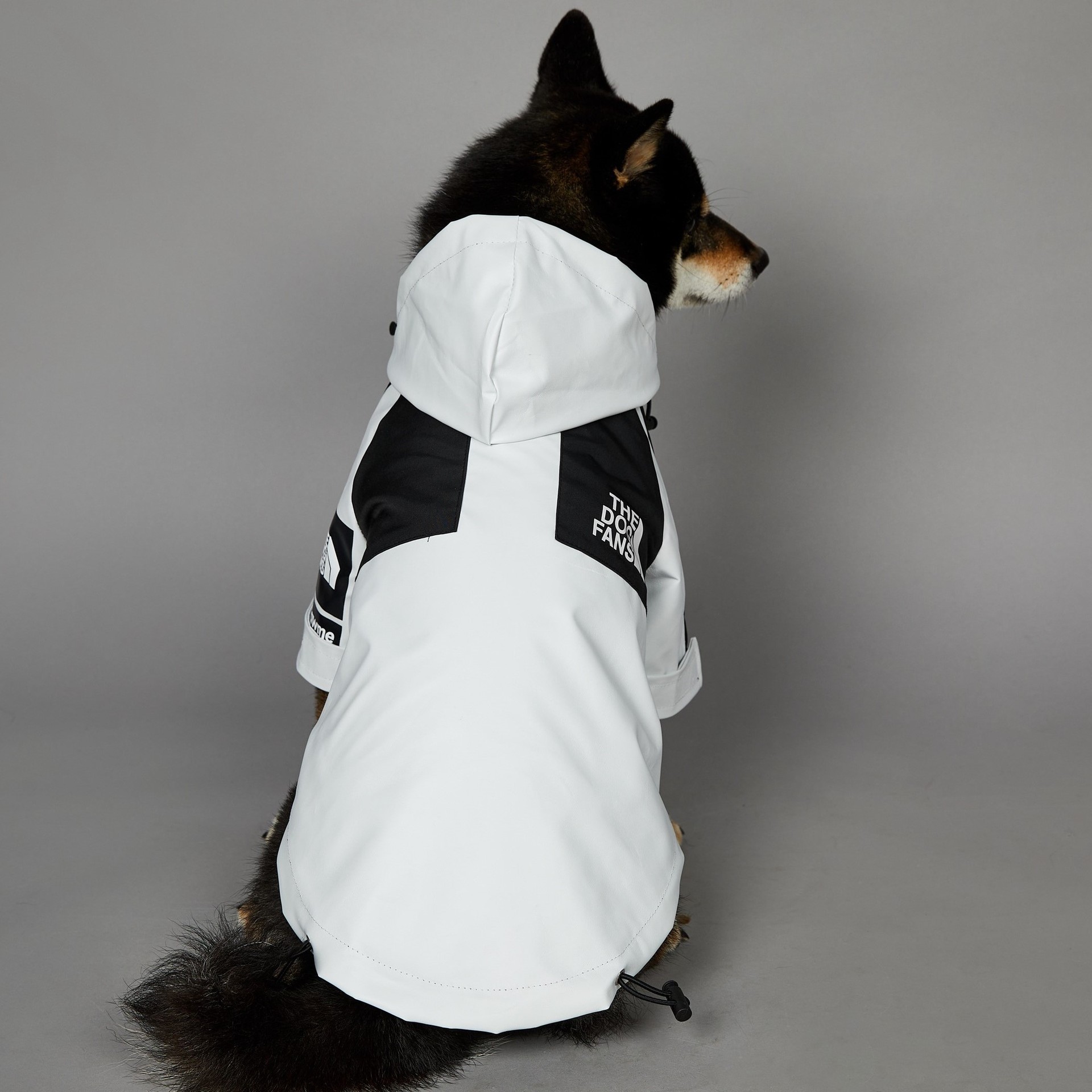 Dog Autumn Winter Coat, Waterproof Dog Jacket with Leash Hole, Windproof Warm Outdoor Jacket Adjustable Hood Zipper Closure for Small to Large Dogs Wh