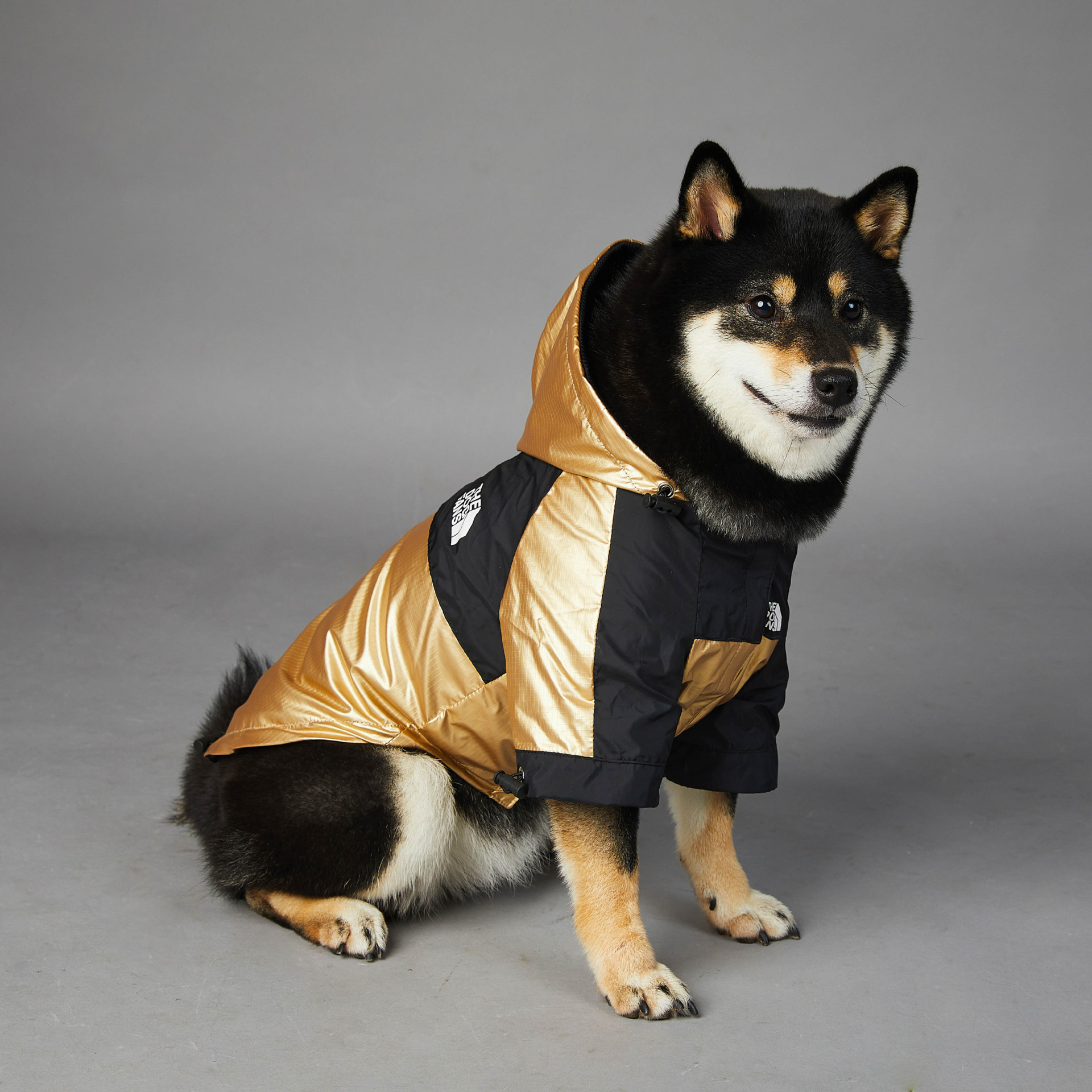 Autumn Dog Outdoor Jacket, Fashion Trend Golden Soft Windproof Waterproof Mountaineering Dog Coats for Small to Large Dogs with Leash Hole 5XL A310