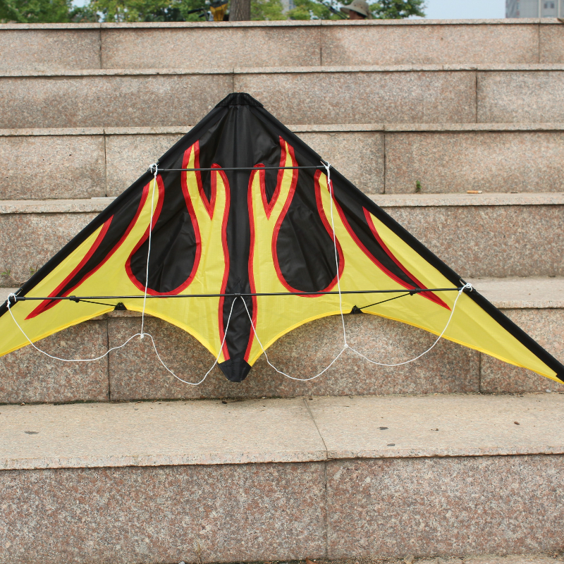 120cm Professional Dual-Line Stunt Kite Large Delta Kite for Teenagers Adult Outdoor Beach Grassland Kite Sports Flying Toy