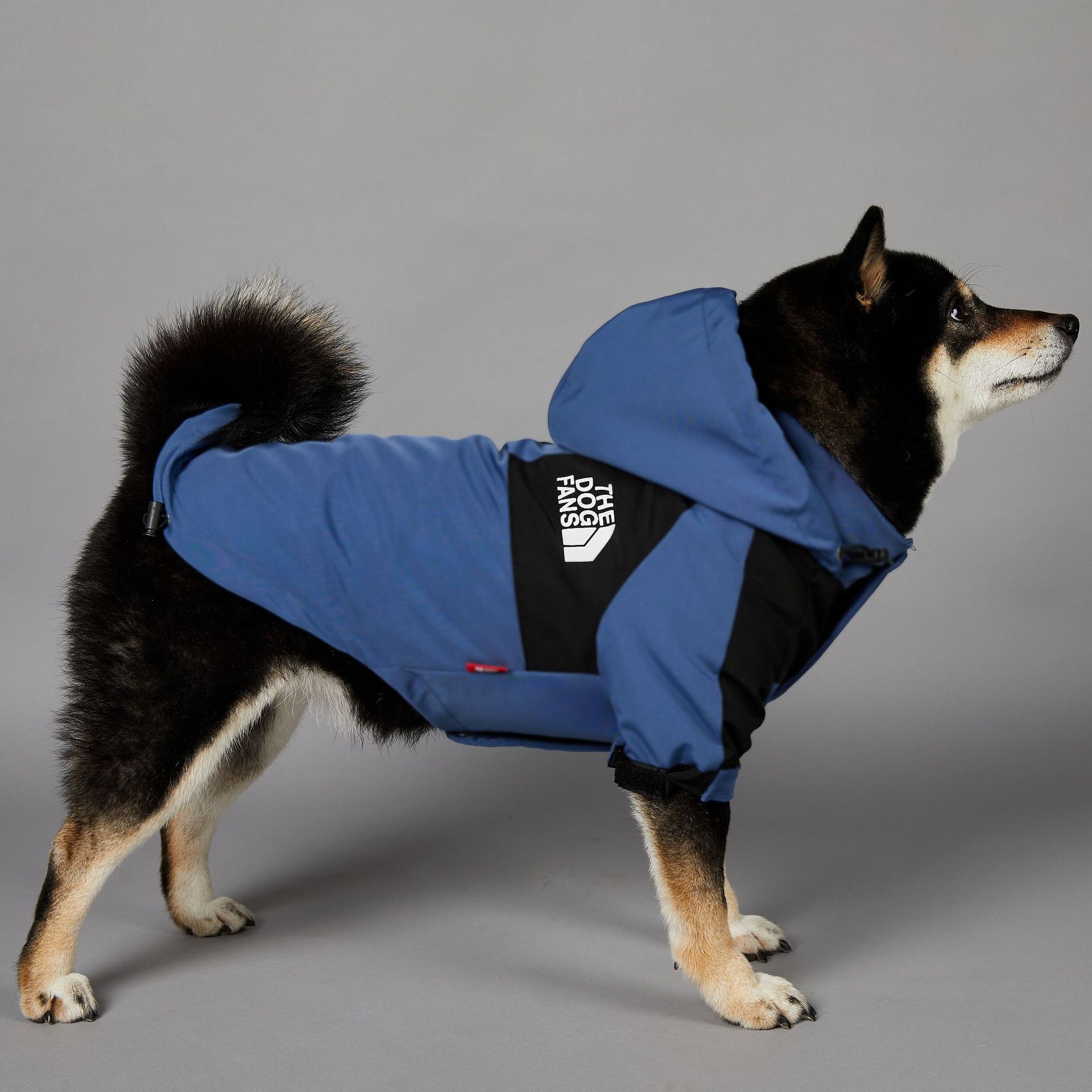 Dogs Clothes Autumn Winter Coat, Adjustable Hood Outdoor Jacket, Waterproof Windproof Zipper Pet Clothes With Leash Hole for Small Medium Large Dogs B