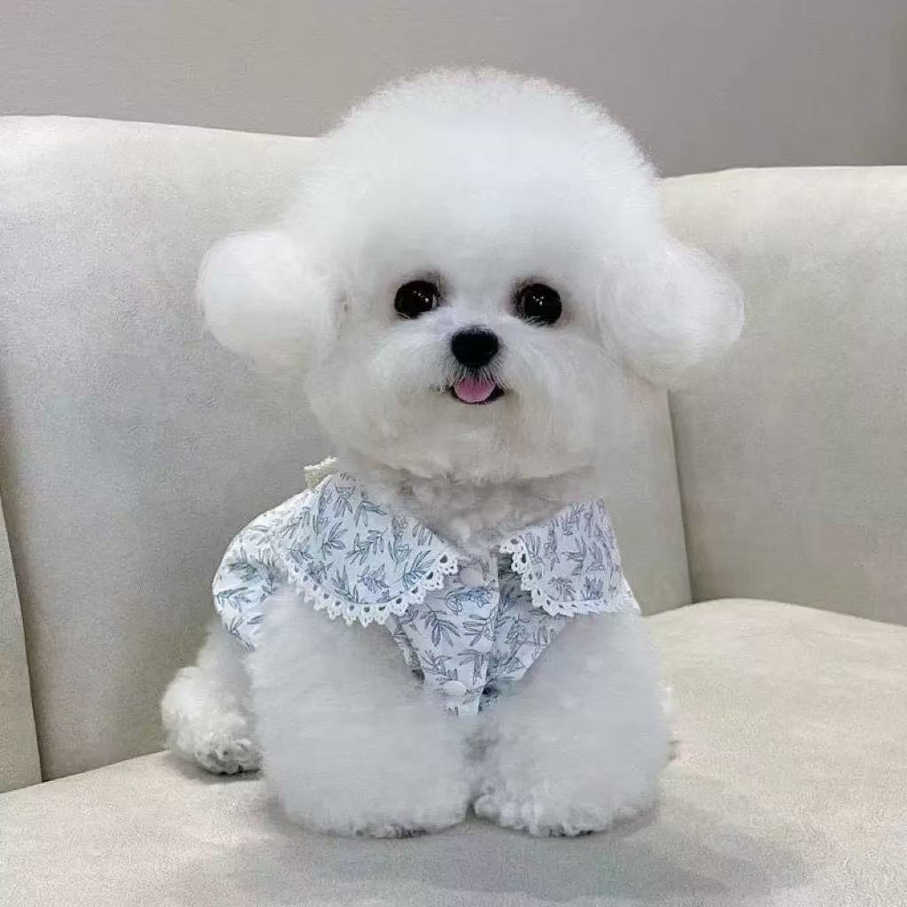 T00147 Dog clothes summer thin Maltese Teddy Bichon Pomeranian Yorkshire cat pet small dog clothes