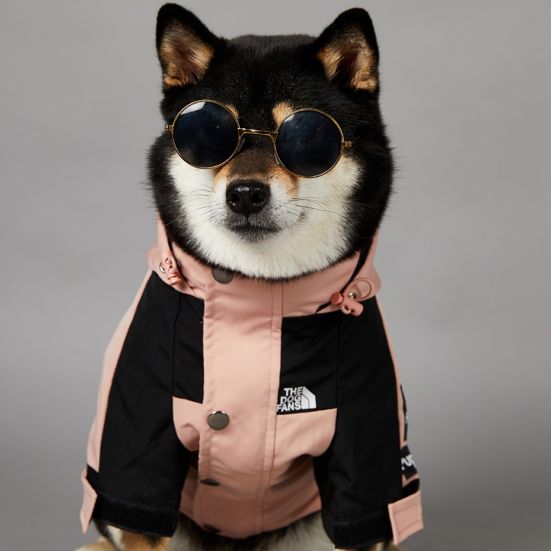 Dog Coat Outdoor Jacket, Warm Dog Coat for Small to Large Dogs, Pink Black Color Dog hooded jacket with Leash Hole, Waterproof Windproof Pet Snow Jack