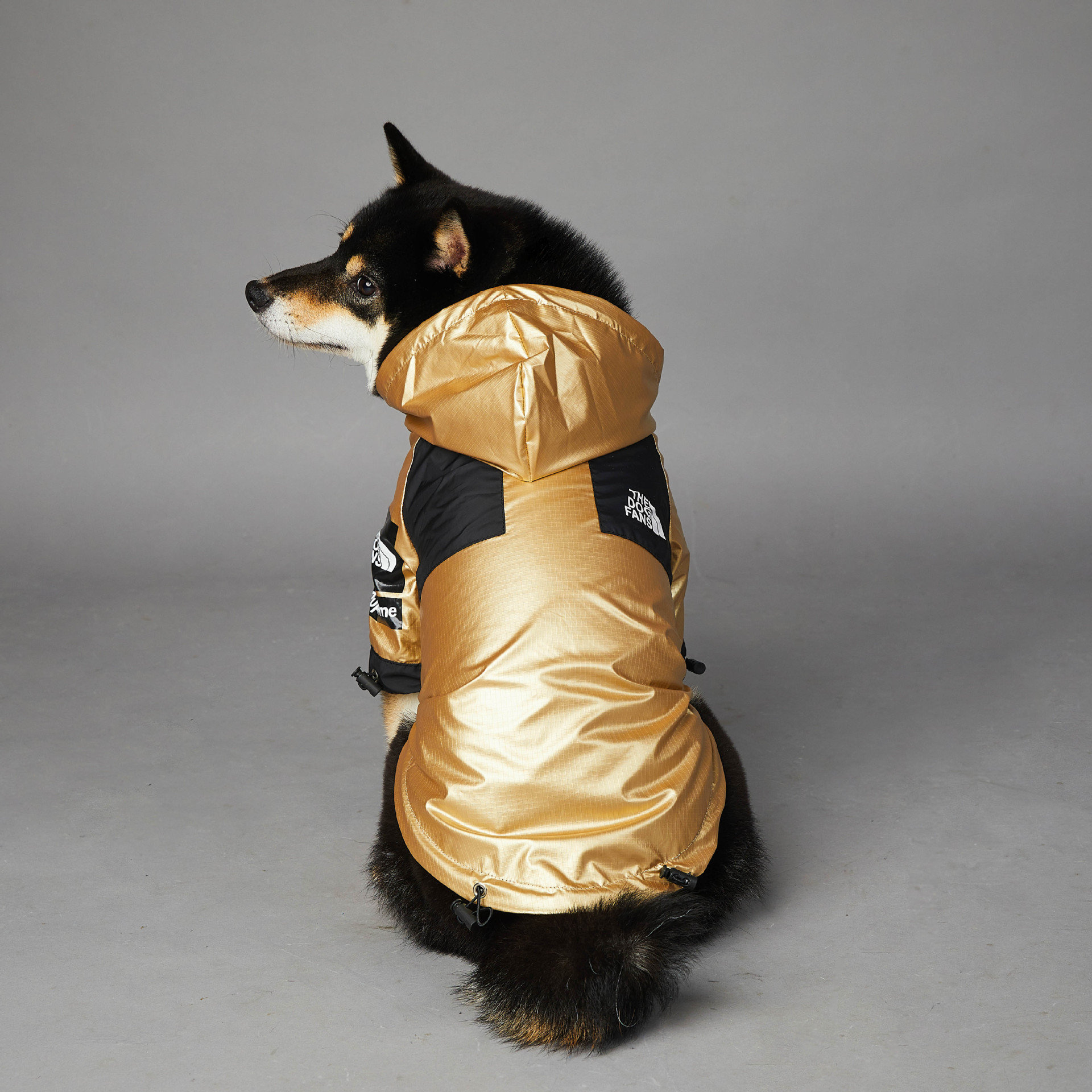 Autumn Dog Outdoor Jacket, Fashion Trend Golden Soft Windproof Waterproof Mountaineering Dog Coats for Small to Large Dogs with Leash Hole 5XL A310
