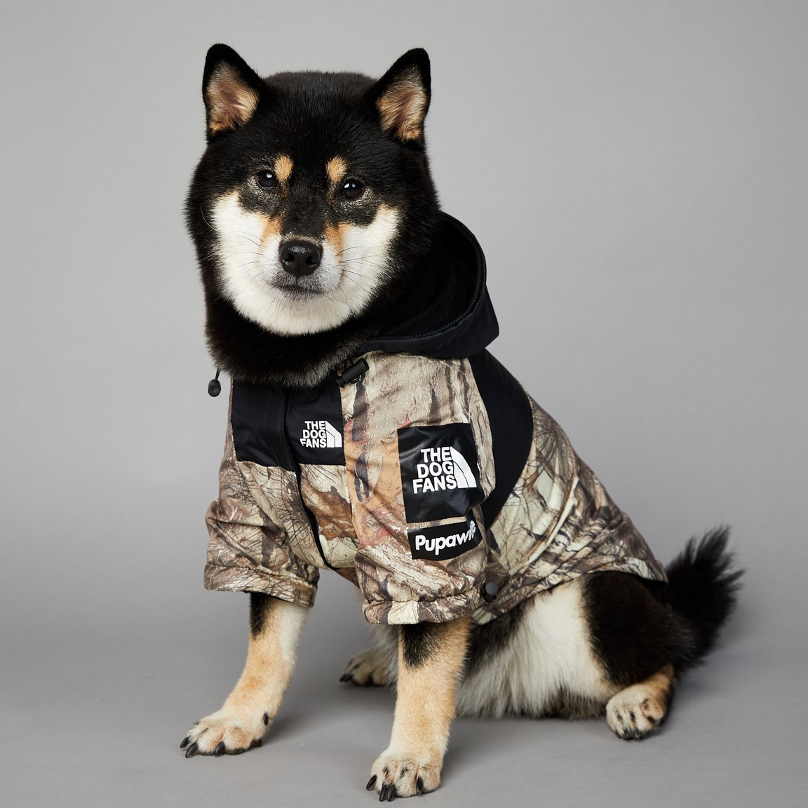 Dog Raincoats Outdoor Jacket, Waterproof and Windproof, Warm and Breathable, Fashion Trend Dog Clothes with Leash Hole for Small, Medium and Large Dog