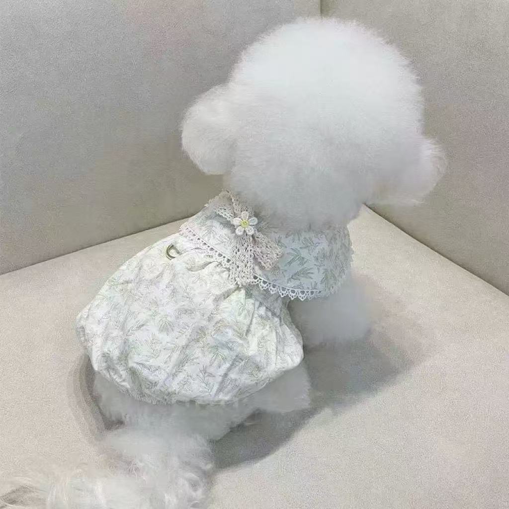 T00147 Dog clothes summer thin Maltese Teddy Bichon Pomeranian Yorkshire cat pet small dog clothes