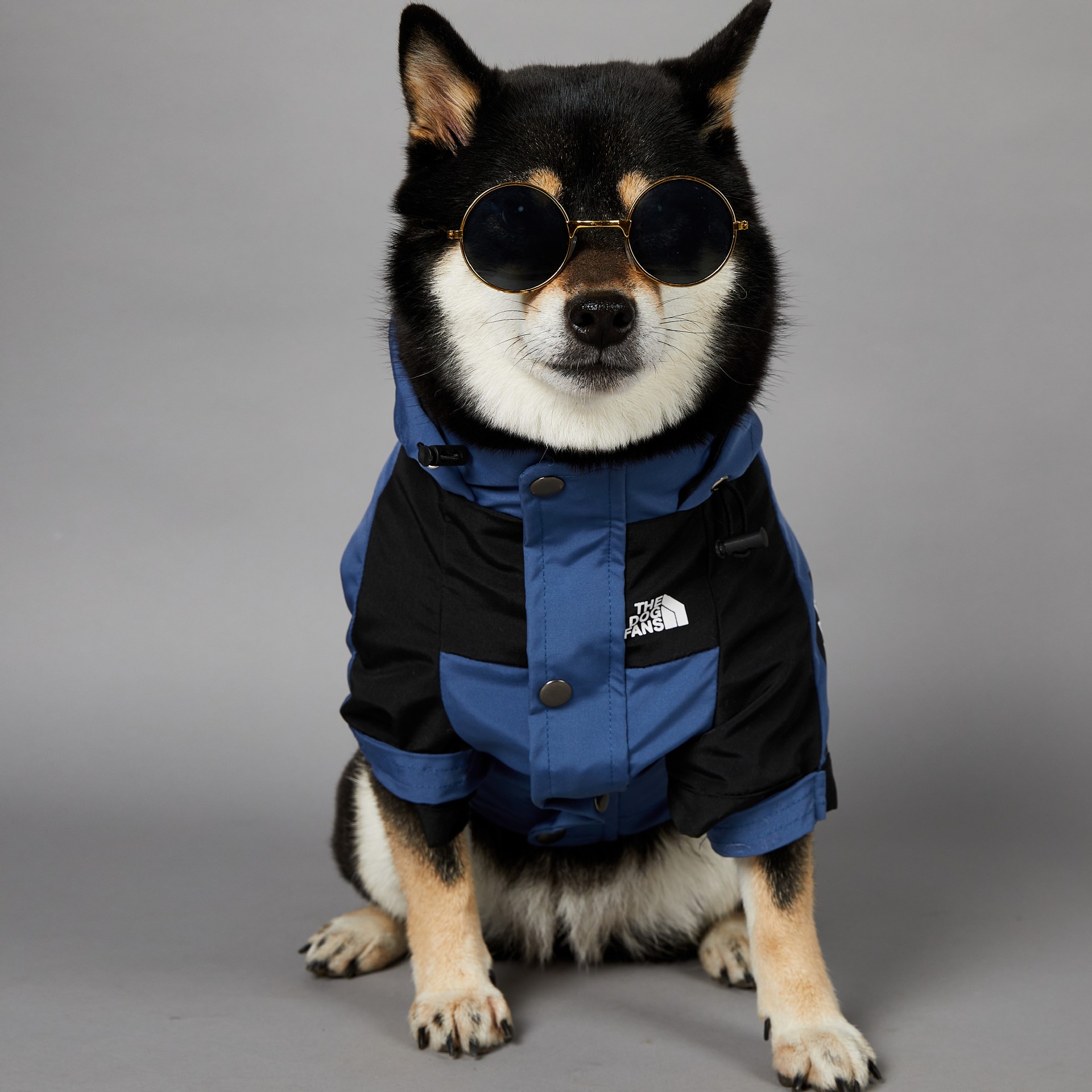 Dogs Clothes Autumn Winter Coat, Adjustable Hood Outdoor Jacket, Waterproof Windproof Zipper Pet Clothes With Leash Hole for Small Medium Large Dogs B