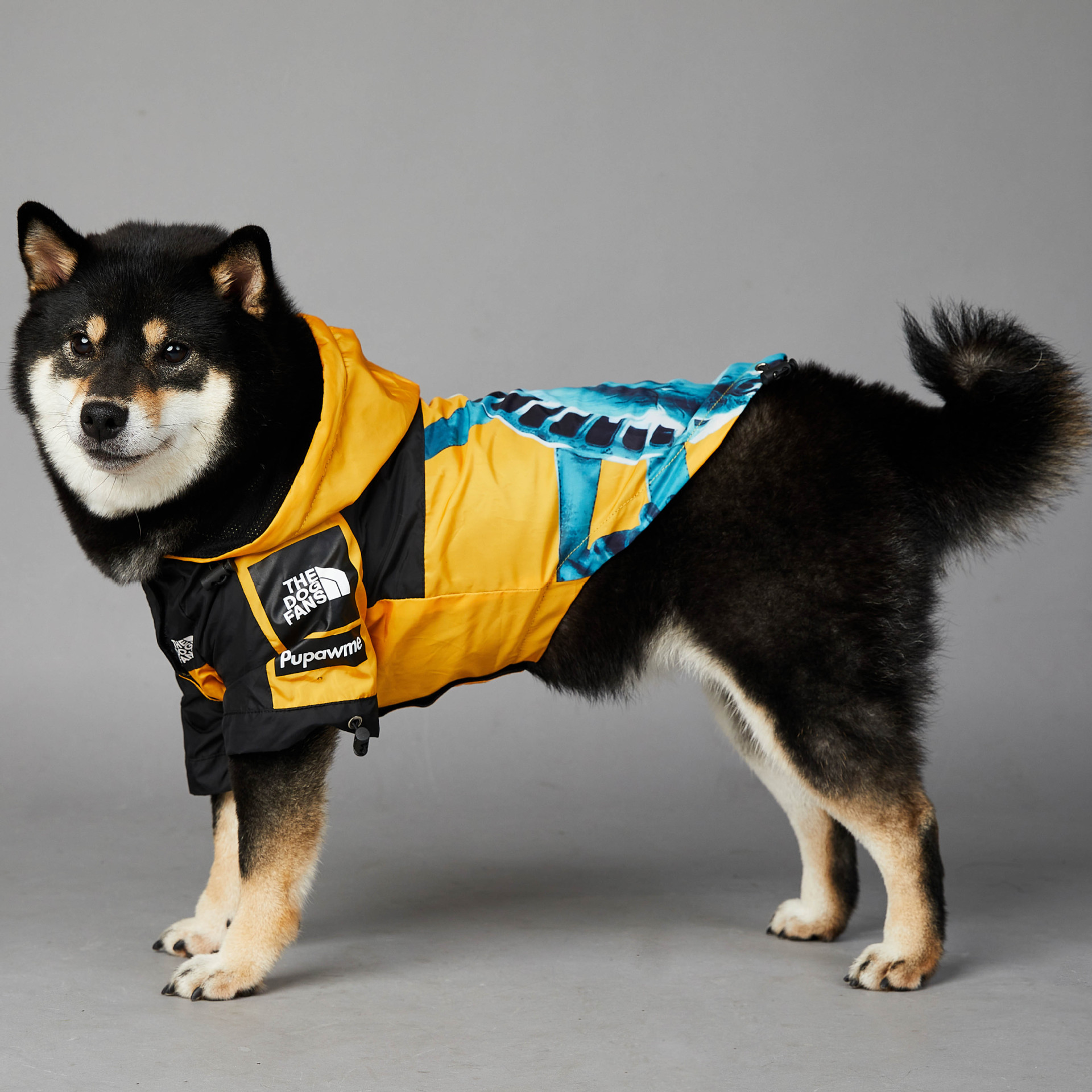 Warm Dog Coat Outdoor Jacket with Iconic Architectural Prints, Waterproof Windproof Autumn Coat, Mesh Breathable Lining Jacket for Large, Small, Mediu