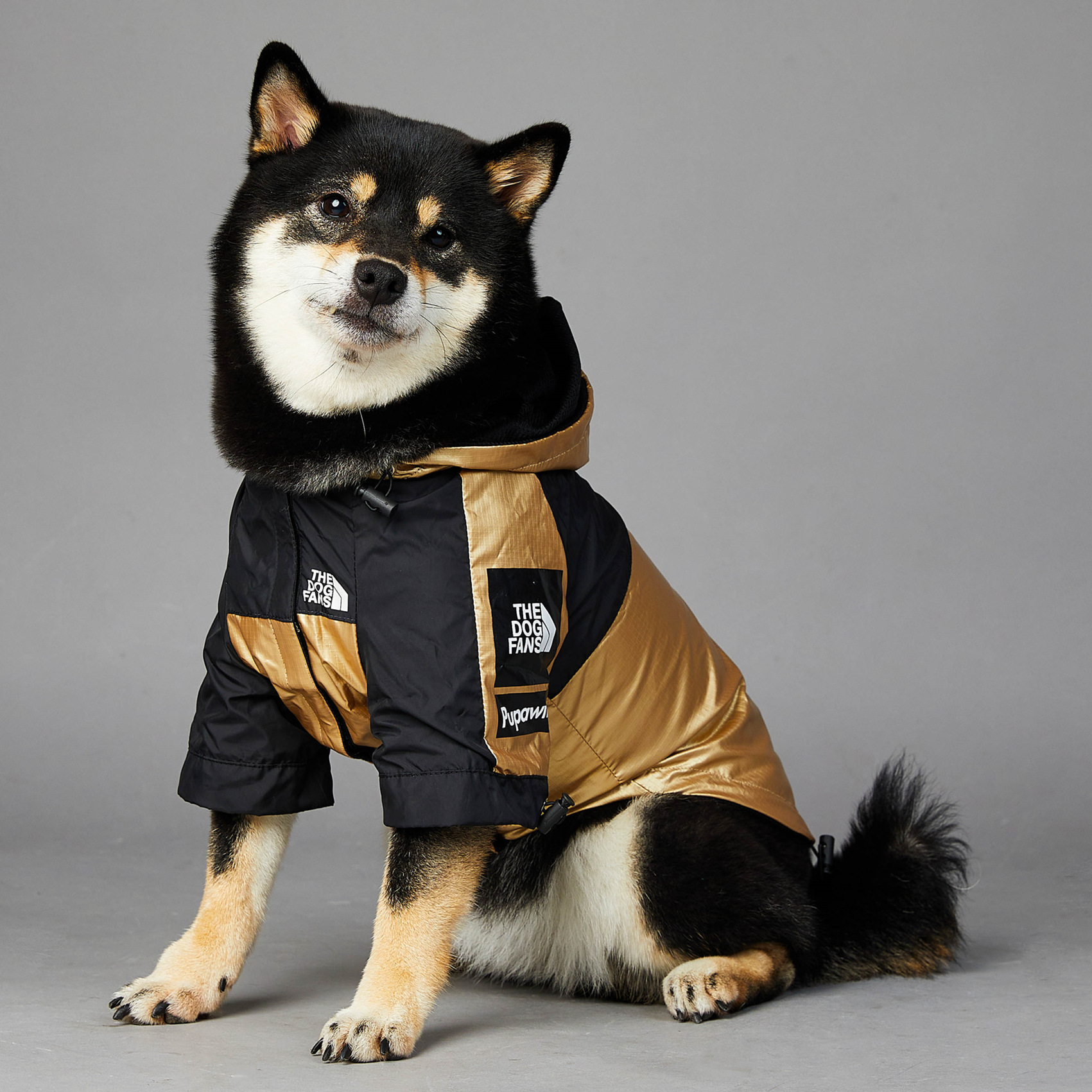 Autumn Dog Outdoor Jacket, Fashion Trend Golden Soft Windproof Waterproof Mountaineering Dog Coats for Small to Large Dogs with Leash Hole 5XL A310