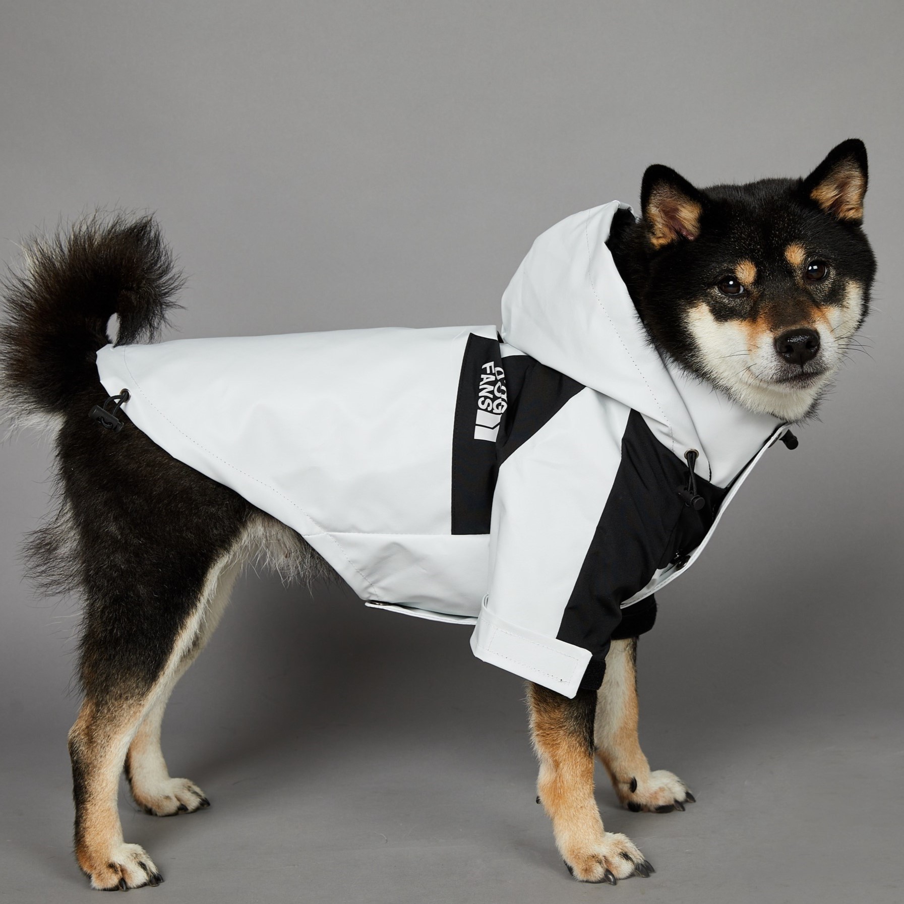 Dog Autumn Winter Coat, Waterproof Dog Jacket with Leash Hole, Windproof Warm Outdoor Jacket Adjustable Hood Zipper Closure for Small to Large Dogs Wh
