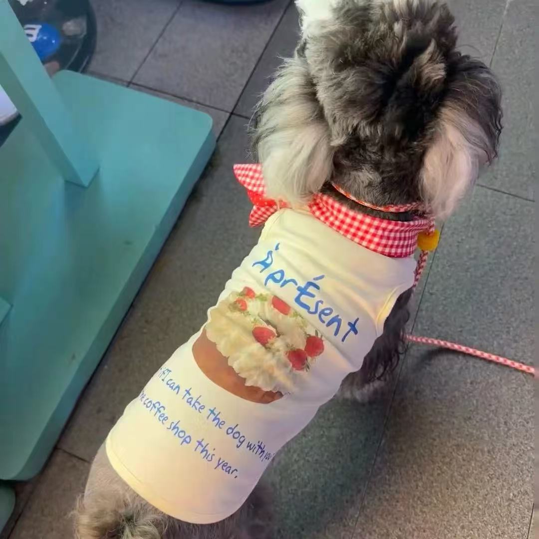 T00149 Dog clothes spring and summer thin fake two-piece pocket sweatshirt anti-hair loss pet Teddy bear small dog