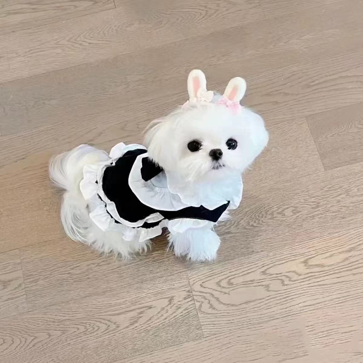 T00245 New Year's Eve Autumn and Winter New Double-sided Plush Thickened Cardigan Vest Teddy Bichon Dog Cat Plush Jacket