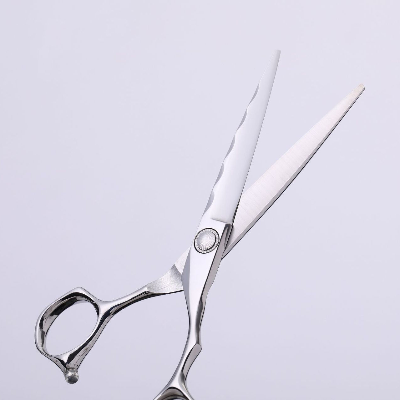 6.0-Inch Japan440C Bearing Professional Hairdressing Salon Barber's Special Flat Shears and Thinning Scissors Home Hairdressers