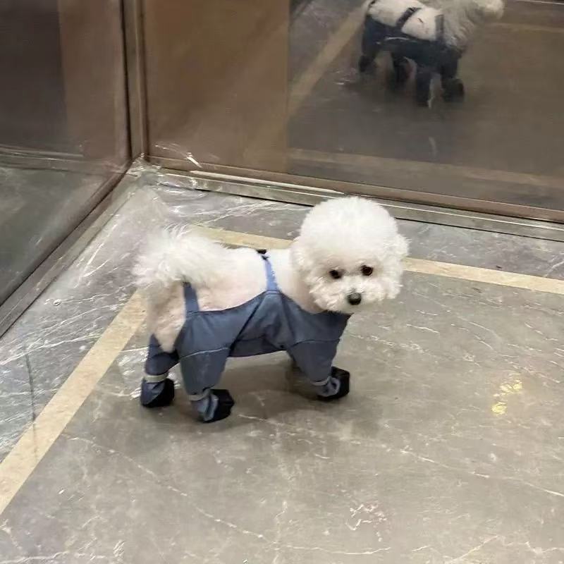 T00151 Small dog dustproof pants with feet waterproof dog walking anti-dirty four-legged clothes foot covers leggings small dog clothes for all season