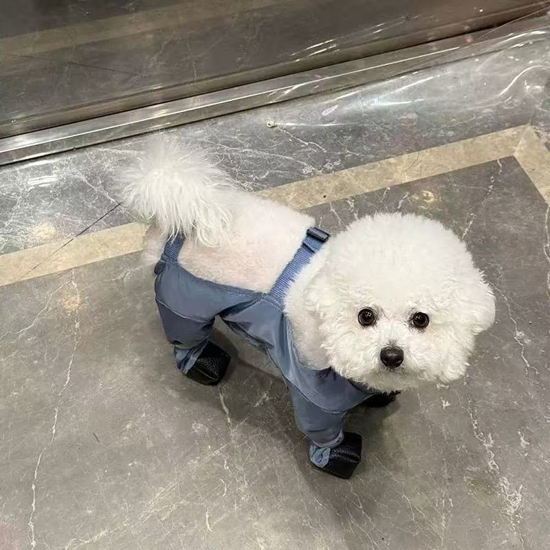 T00152 Small dog dustproof pants with feet waterproof dog walking anti-dirty four-legged clothes foot covers leggings small dog clothes for all season