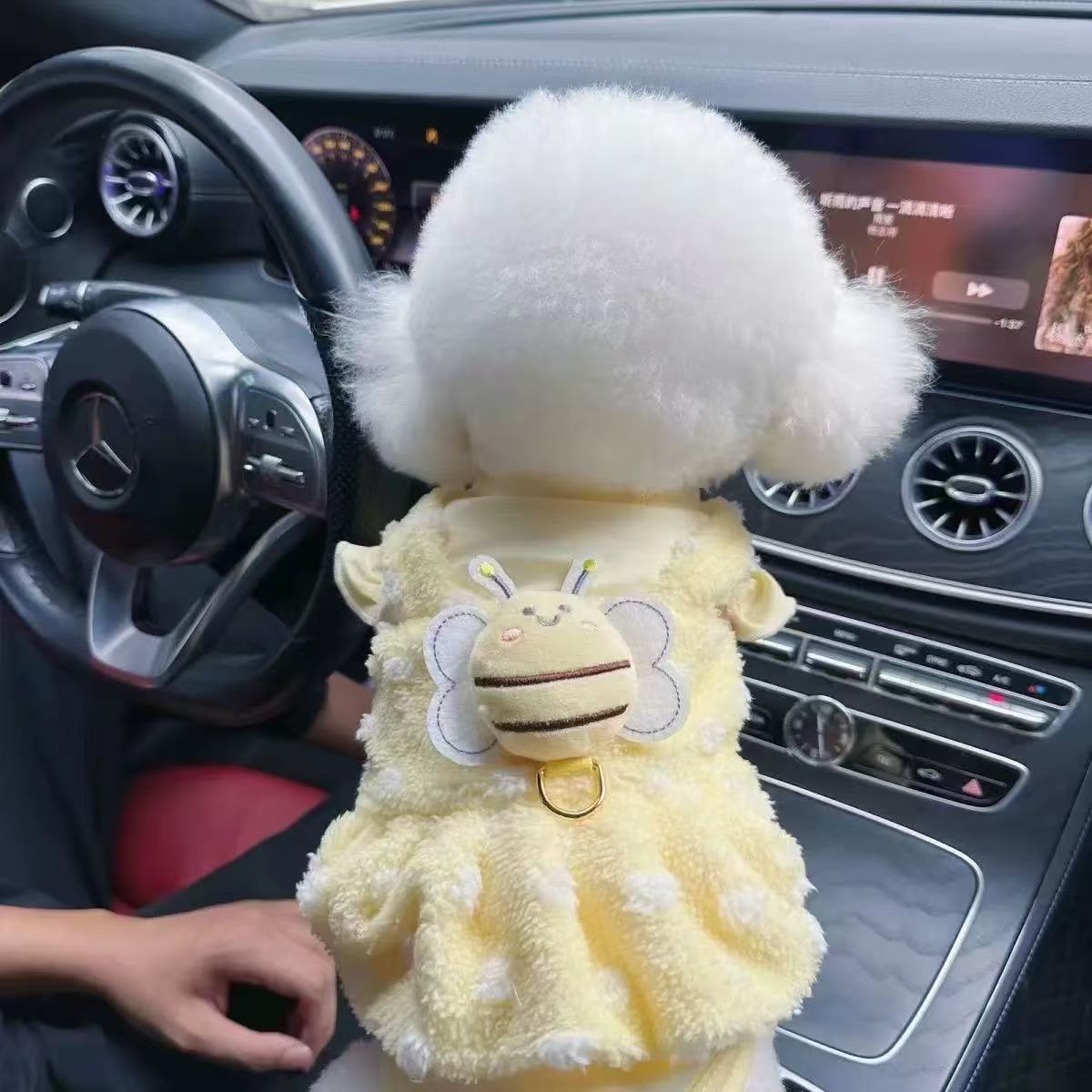 T00158 Little Bee Fake Two-Piece Dog Clothes Autumn and Winter Clothes Teddy Bichon Small Dog Maltese Cat Pet Spring and Autumn