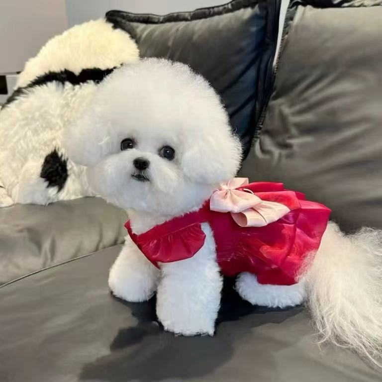 T00372 Dog clothes summer thin breathable air-flowing yarn princess dress skirt pet teddy bear panda traction buckle