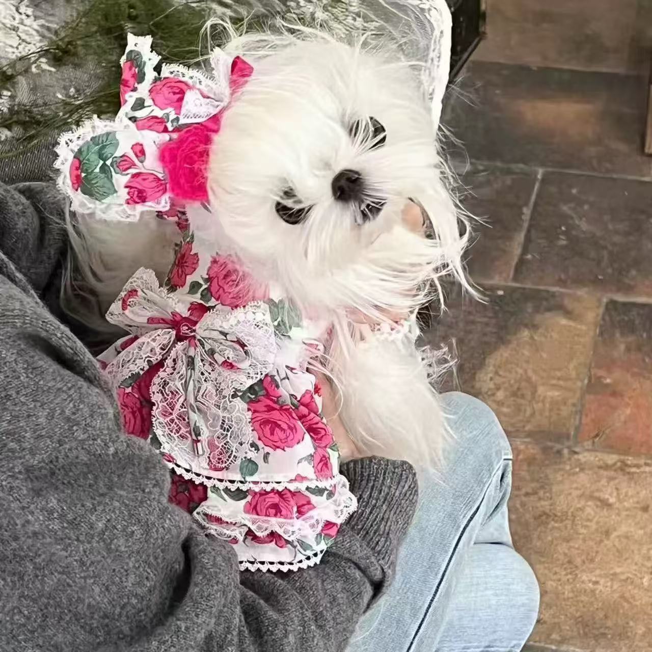 T00157 Korean Spring and Summer Rose Dress Pet Cat Dog Yorkshire Maltese Clothes