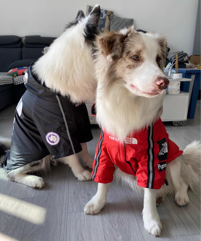 Dog Autumn Winter Warm Clothes with Reflective Stripe Outdoor Hooded Jacket, Waterproof Windproof Dog Coat Adjustable Hood for Small Medium Large Dogs