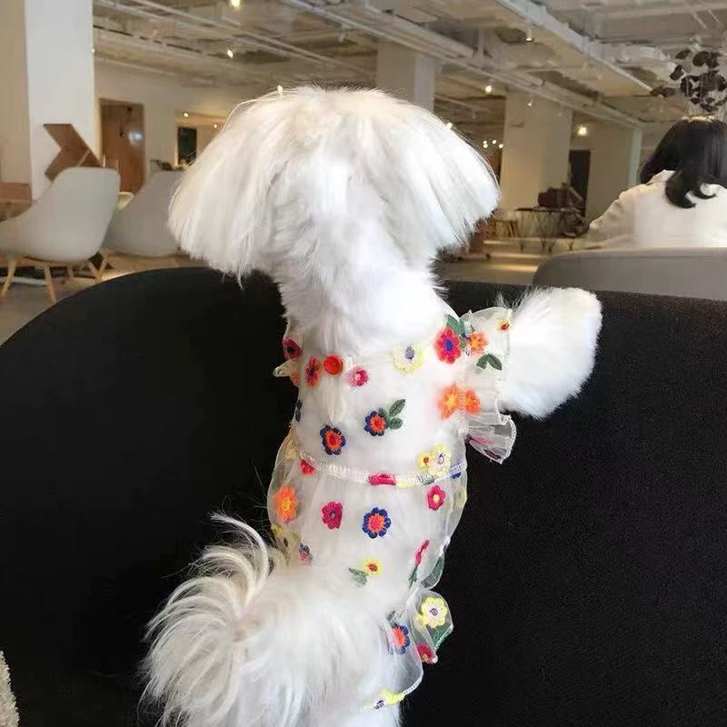 T00156 Summer chiffon skirt small dog Teddy Bichon Yorkshire Maltese cat dog sun protection clothes
